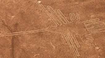 Tour in the Nazca Lines Tour in the Nazca Lines